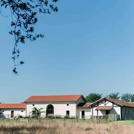 Domaine De Bouhémy Solférino