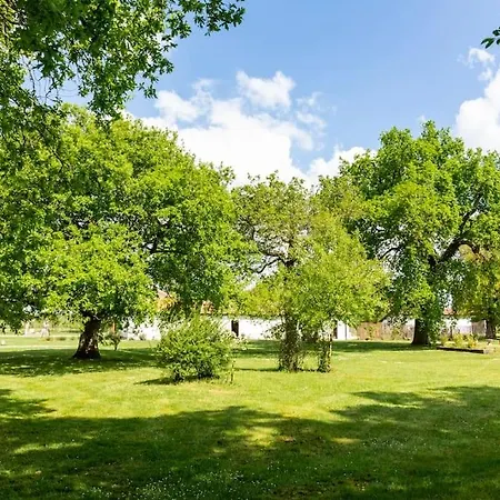 Domaine De Bouhémy * Solférino