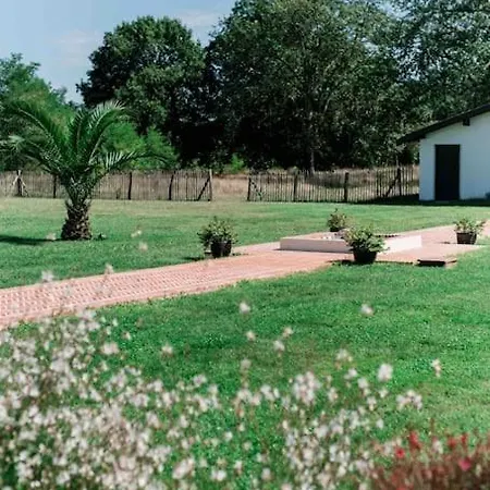 Domaine De Bouhemy Solférino