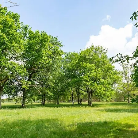 Villa Domaine De Bouhémy *