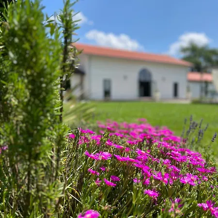 Domaine De Bouhemy * Solférino