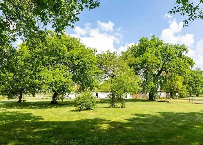 Domaine De Bouhemy * Solférino