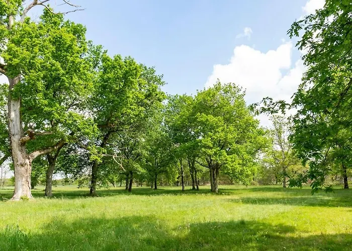 빌라 Domaine De Bouhemy *